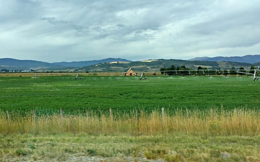 20250407-mmruf