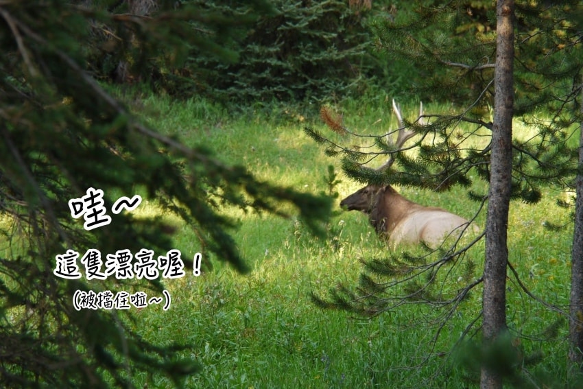 20250407-nt4ex