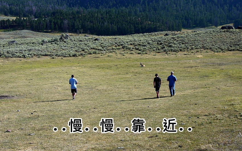 20250407-q4kom