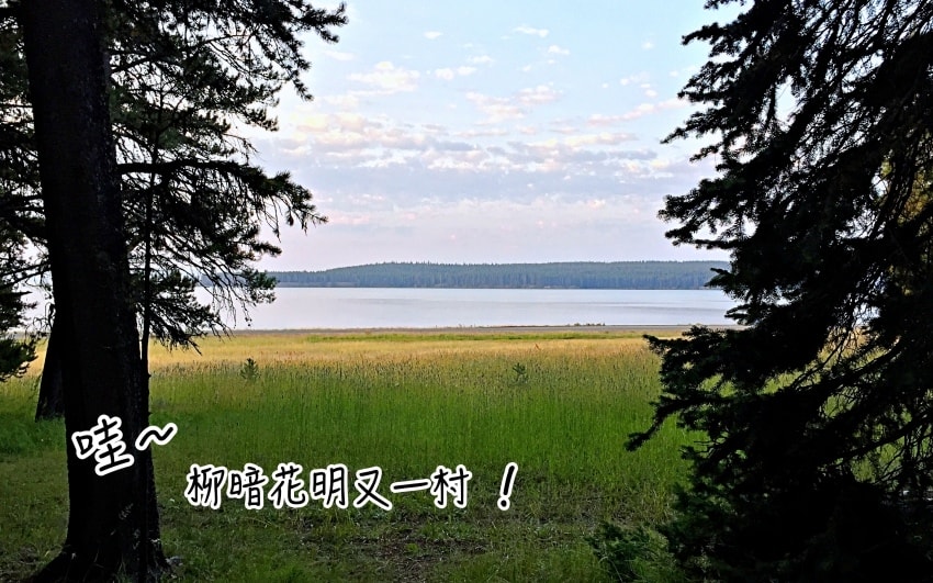 20250407-tc62y