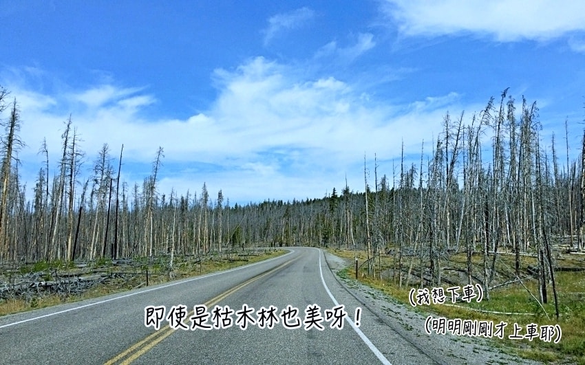 20250407-uhvf6