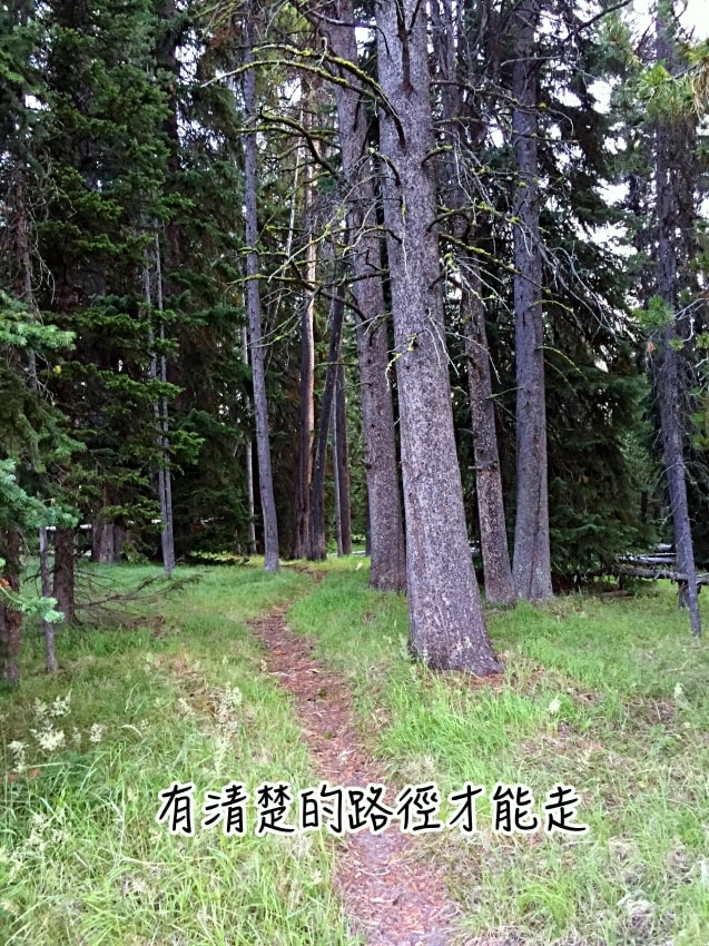 20250407-uzonu