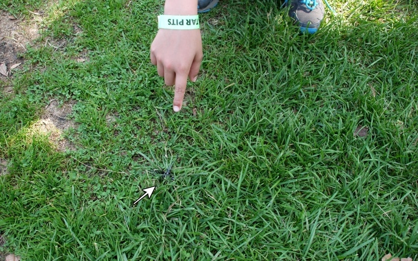 20250407-w2cm0