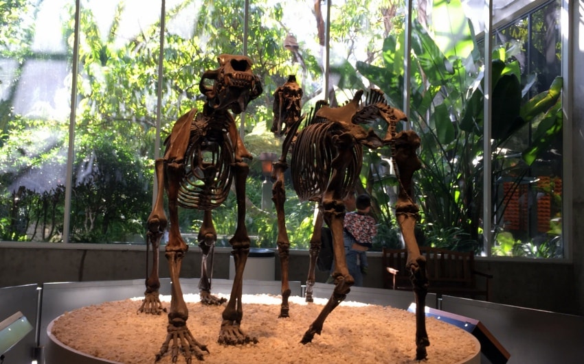 20250407-we1wp
