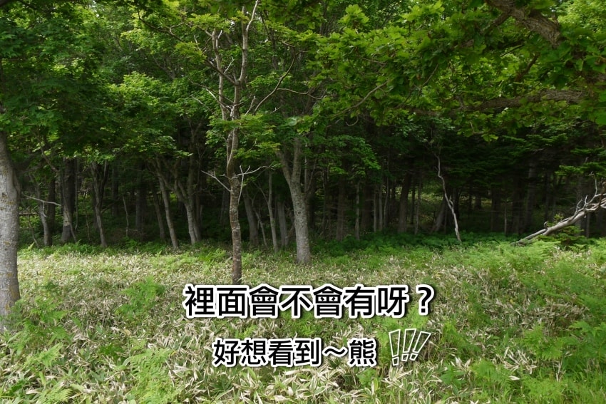 20250407-0ivsb