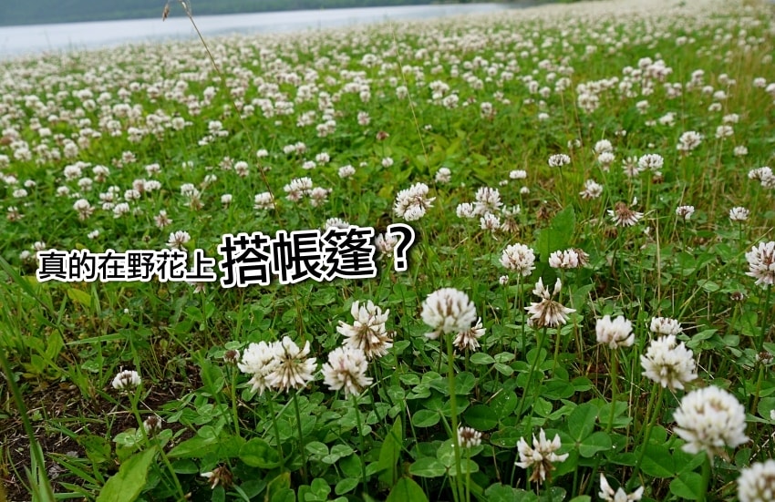 20250407-1hwra