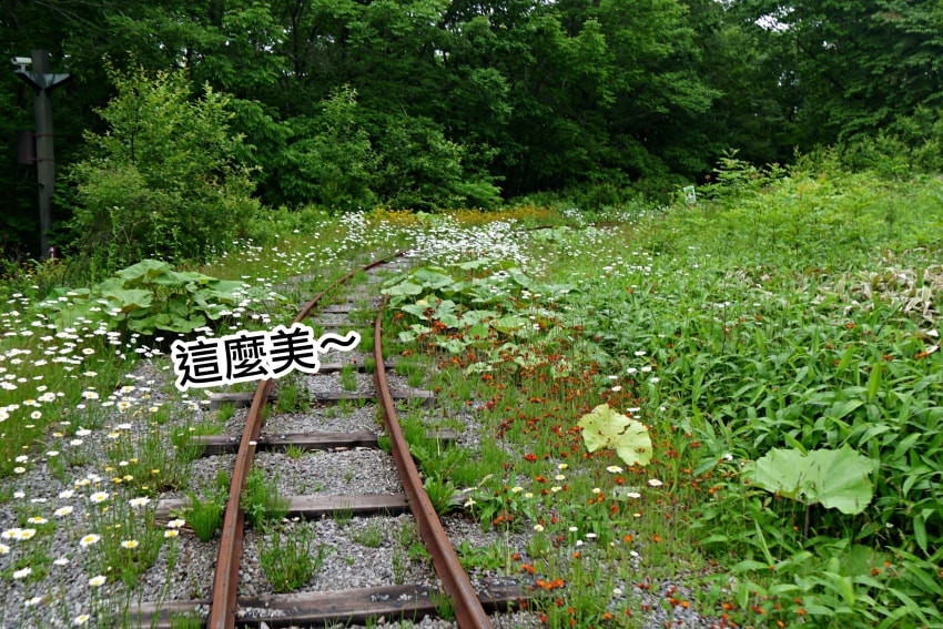 20250407-6vquw