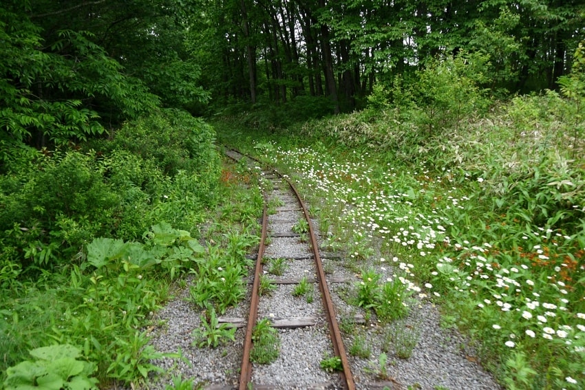 20250407-6xlbj
