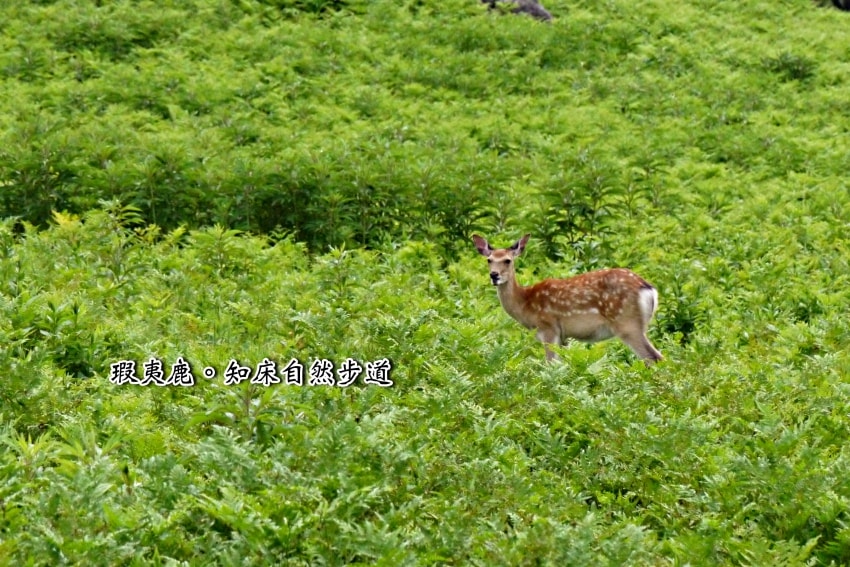 20250407-9kcg1