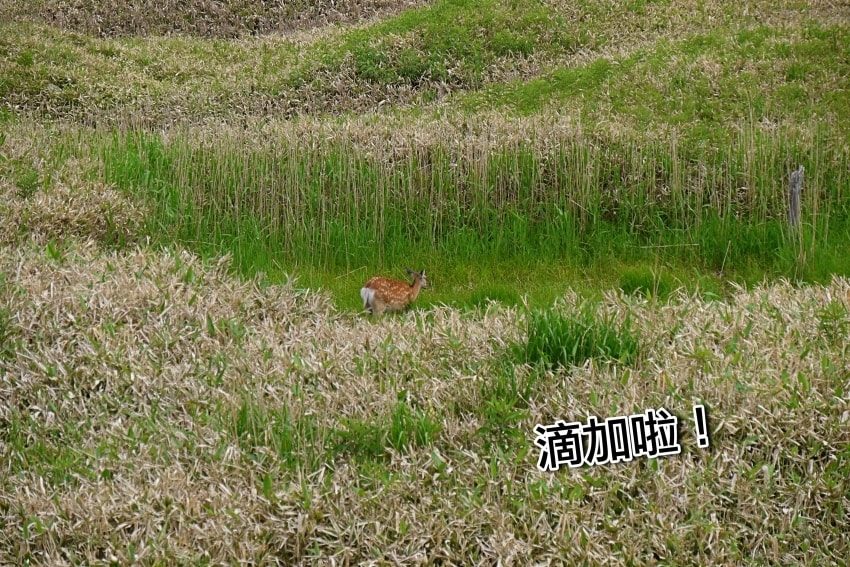 20250407-cinwj