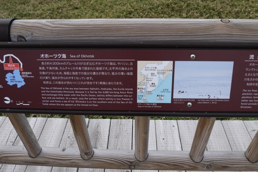 20250407-dpdwa
