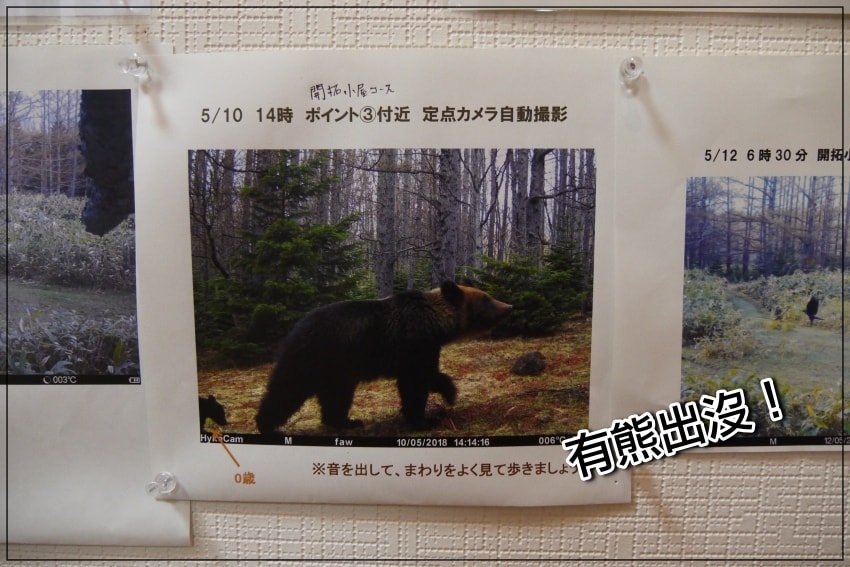 20250407-nbwf0