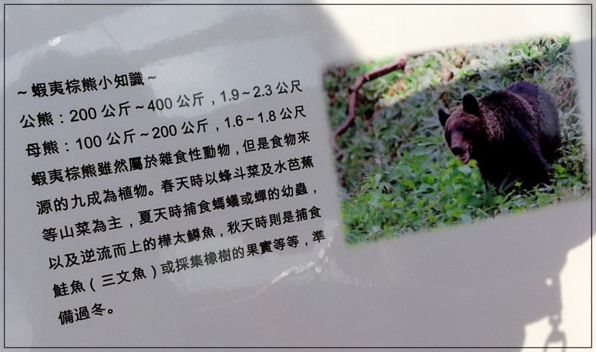 20250407-qk331