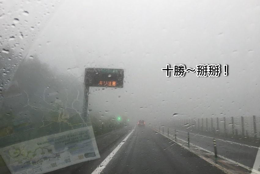 20250407-qvtaw