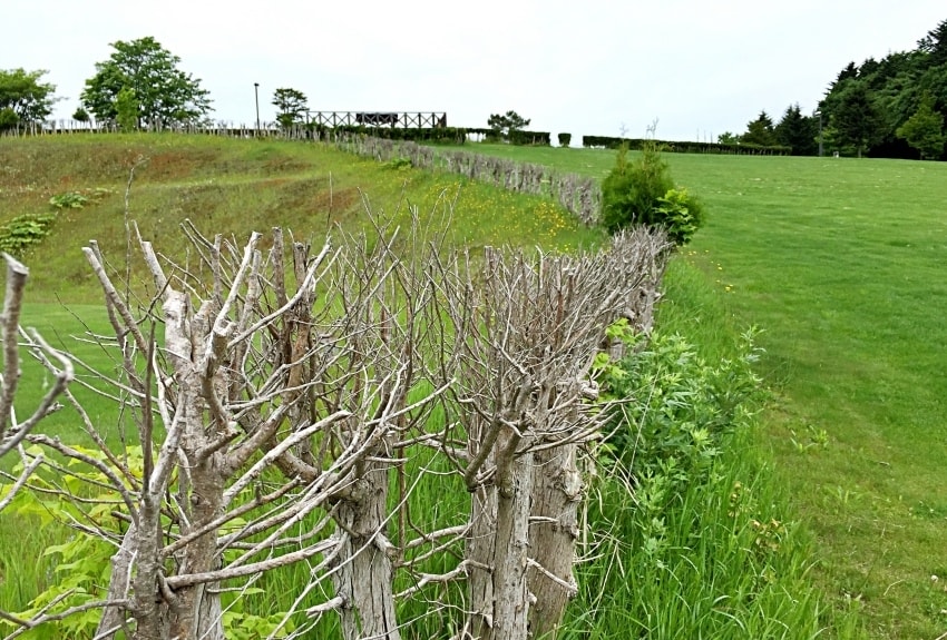 20250407-t07eg