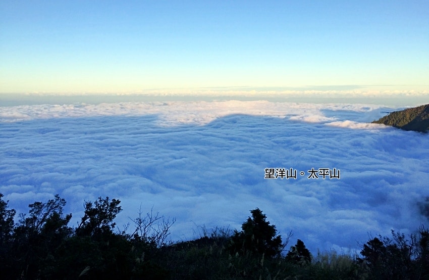 20250407 m0pp3