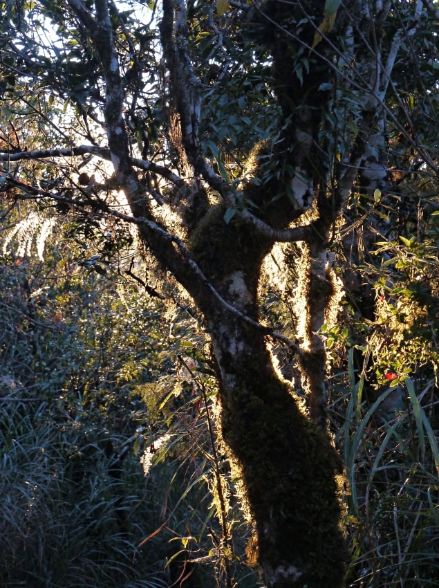 20250407-vyxwl