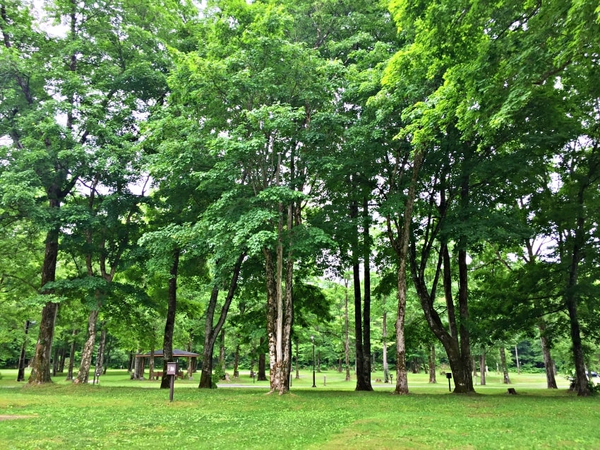 20250407-ifws1