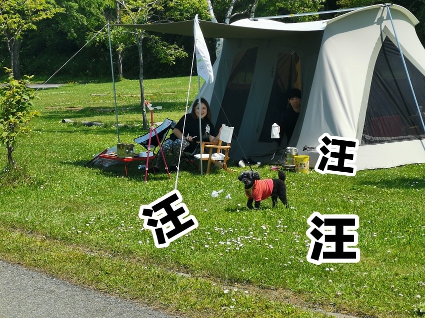 20250407-24qin
