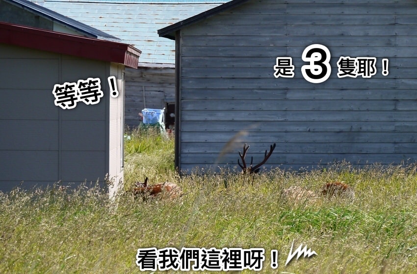 20250407-80n35