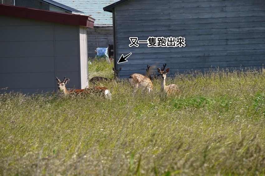 20250407-etz0s