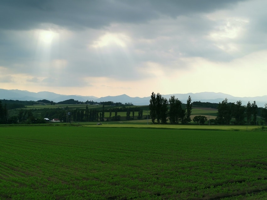 20250407-j8hgn