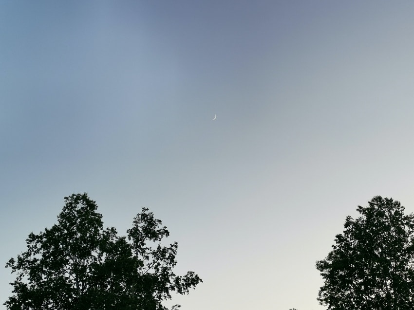 20250407-kgl55