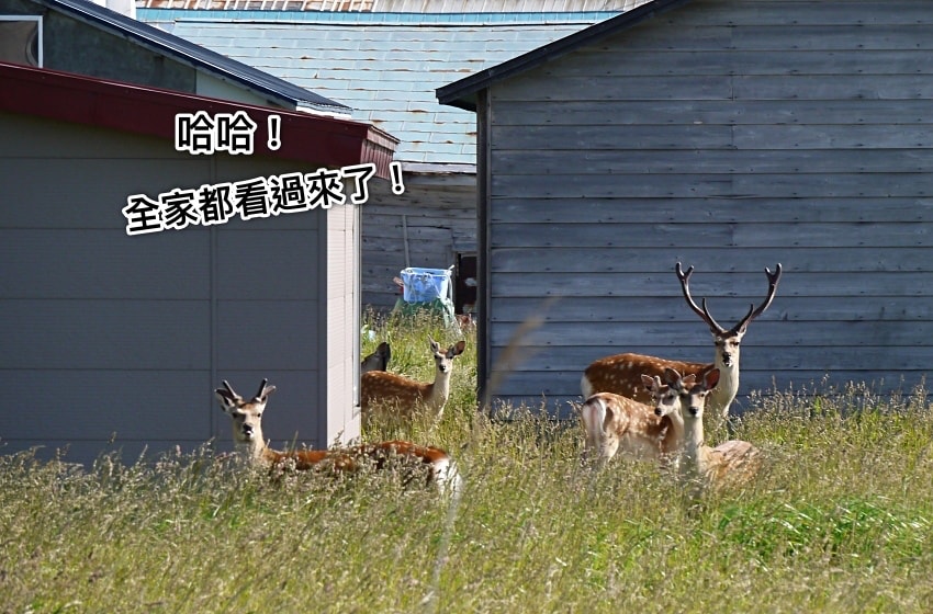 20250407-laa4s