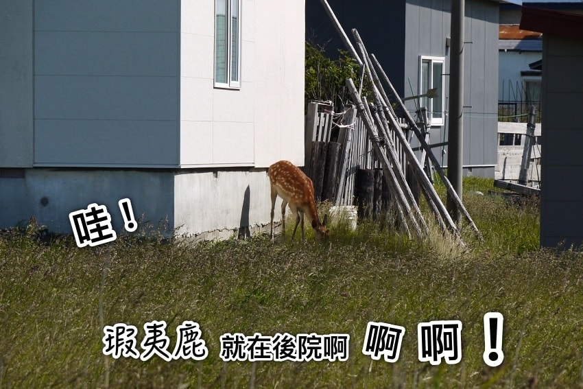 20250407-vgscq
