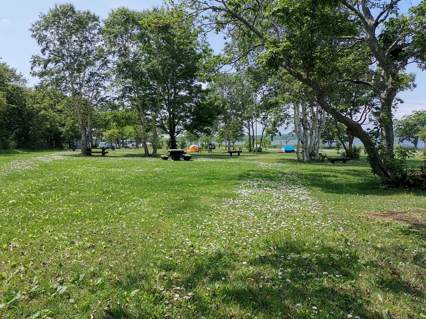 20250407-xkeua
