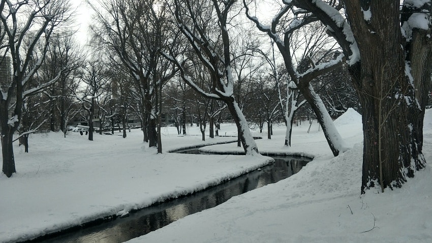 20250407-0uq8i