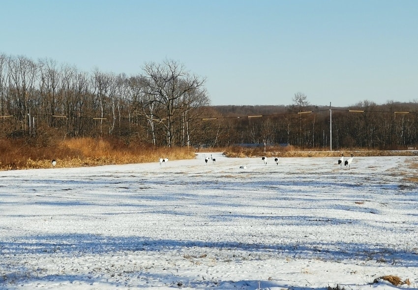 20250407-5fjwr