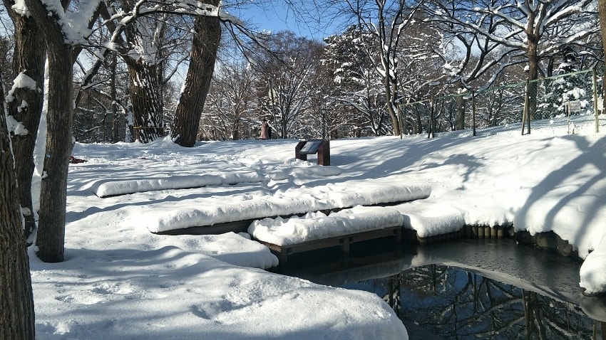 20250407-7gh4f