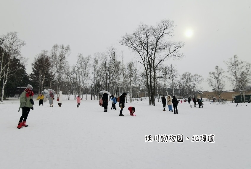 20250407-mpv3u