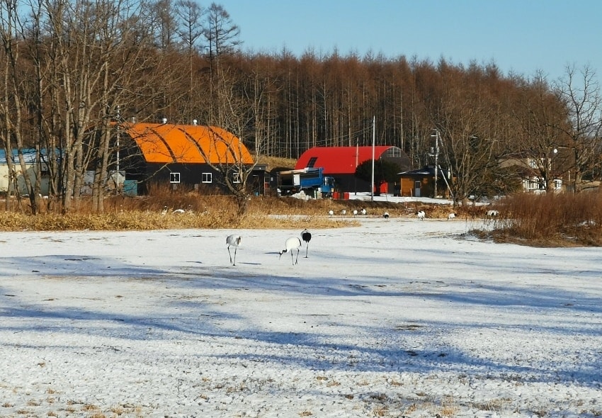 20250407-nx3sw