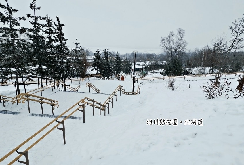 20250407-xz50a