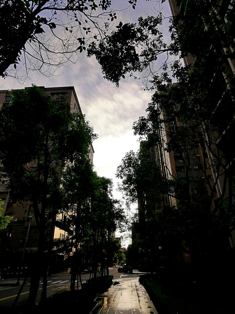 100 img 20230714 060431