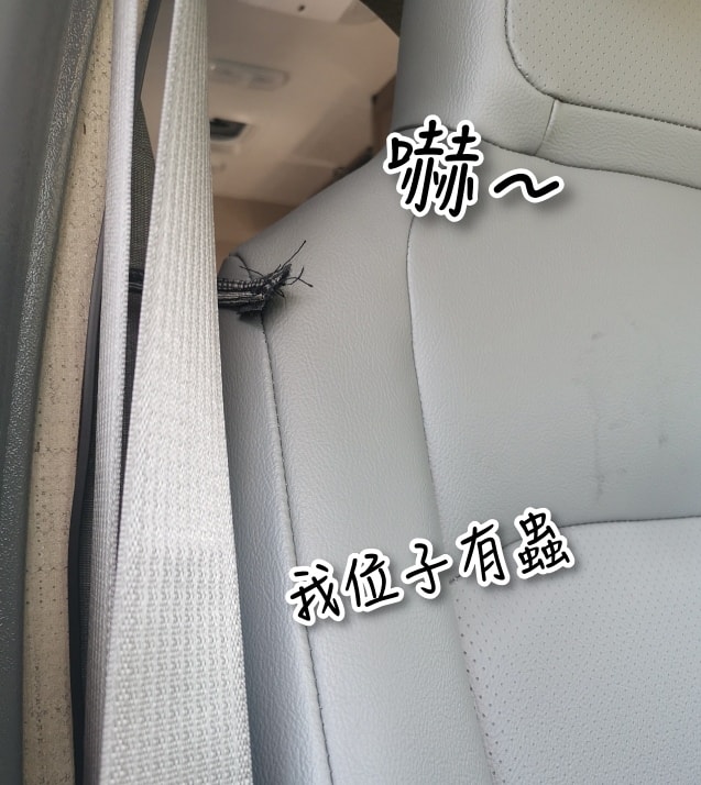 20250407-6kaiw