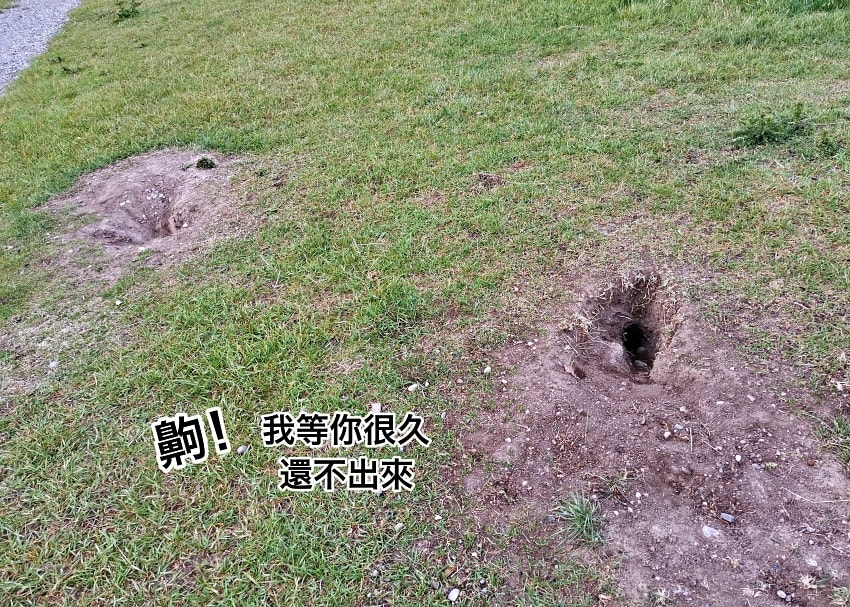 20250407-de17p