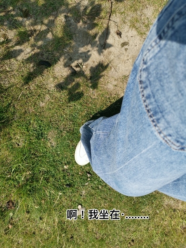 20250407-ia017