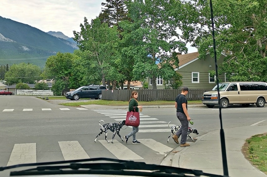 20250407-obeet