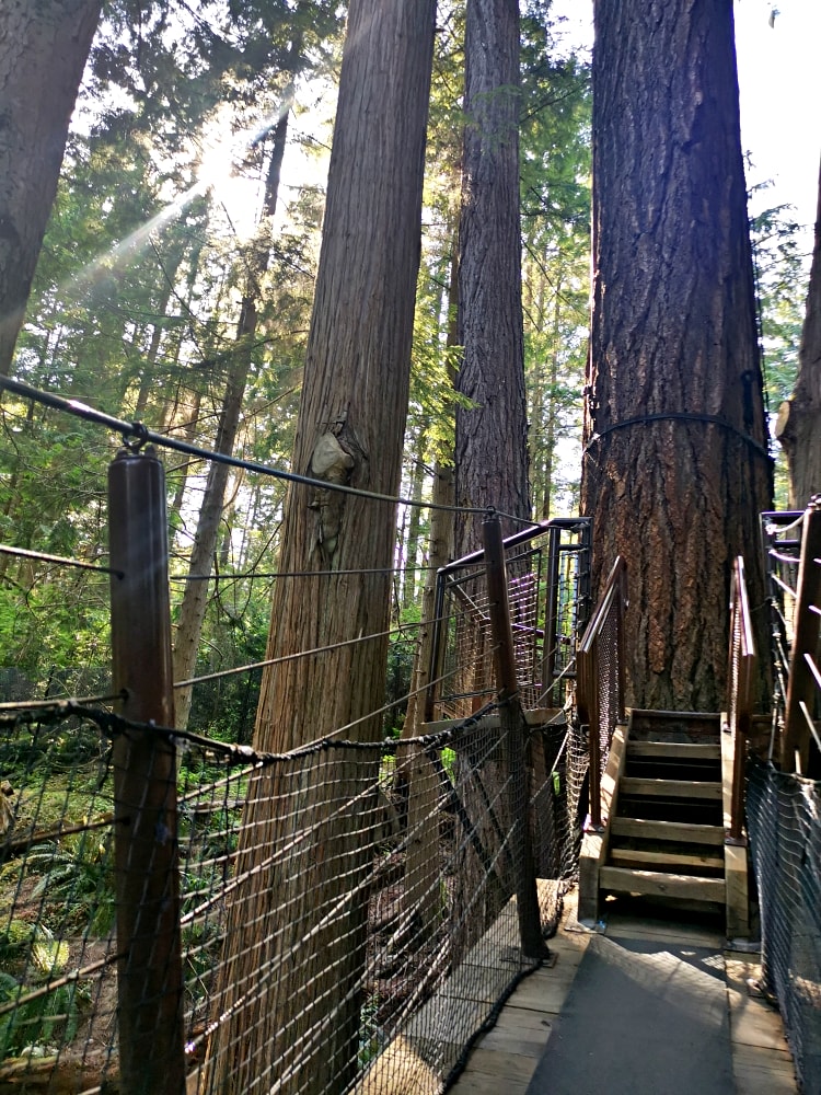 24 img 20230712 164535