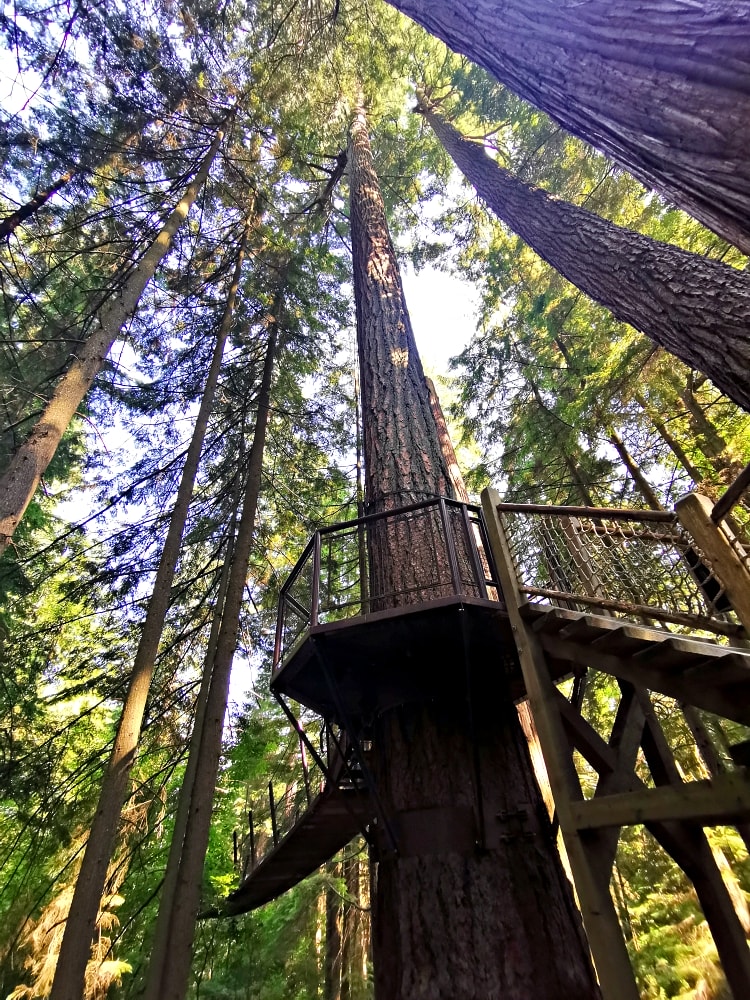 24 img 20230712 164845