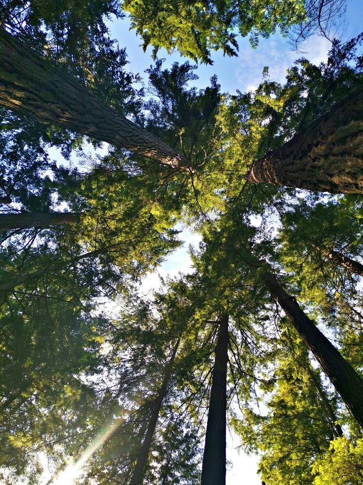 25 img 20230712 162114