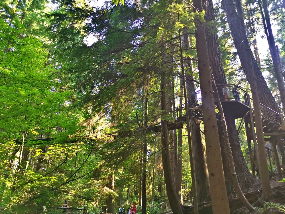 25 img 20230712 165216