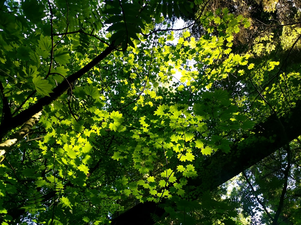 25 img 20230712 165310