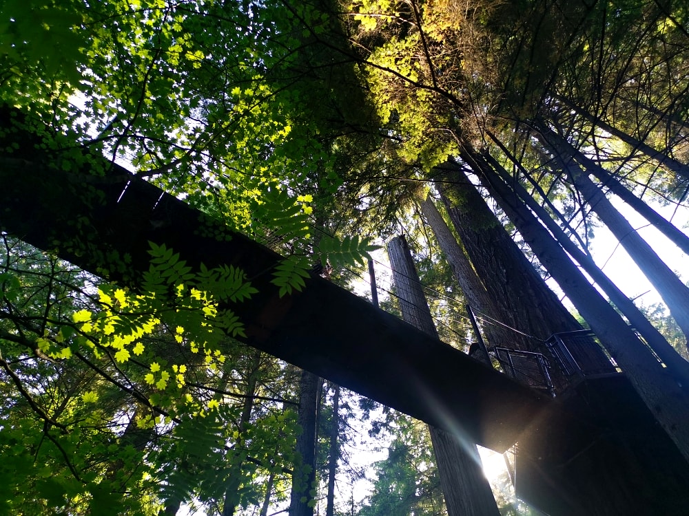 25 img 20230712 165332