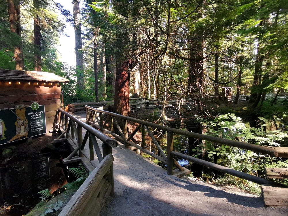 25 img 20230712 165708