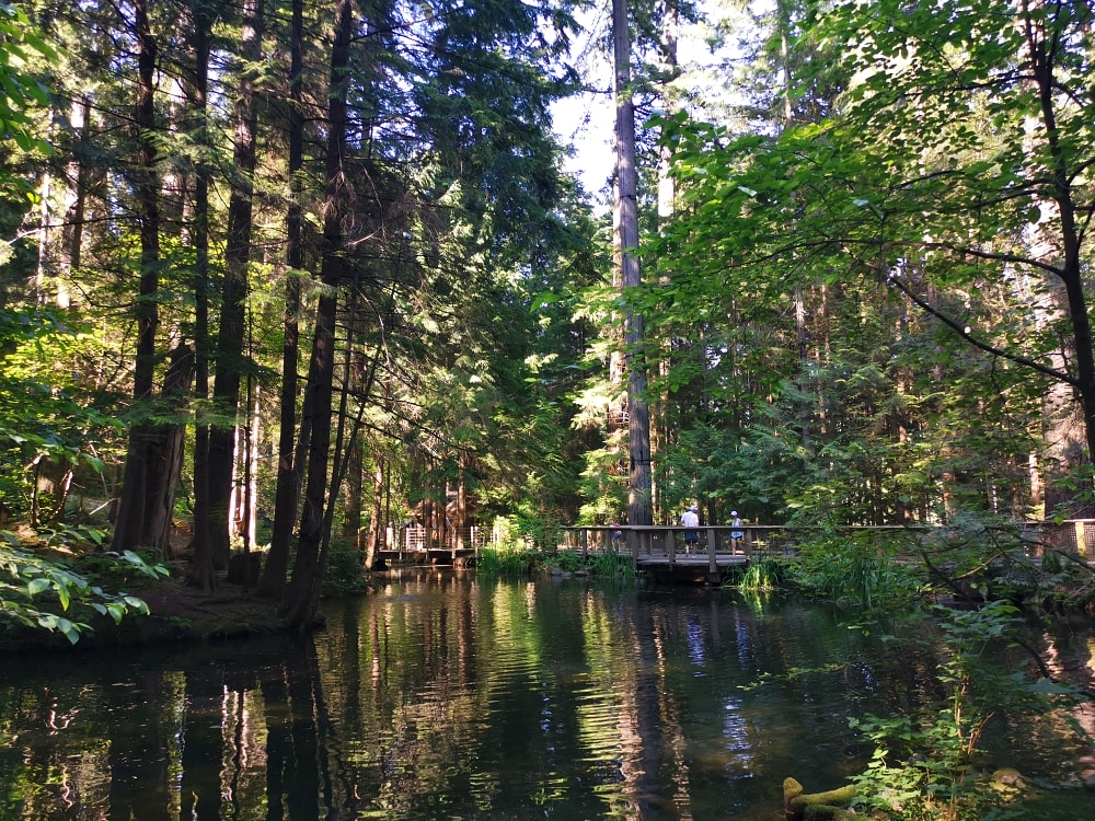 25 img 20230712 170630