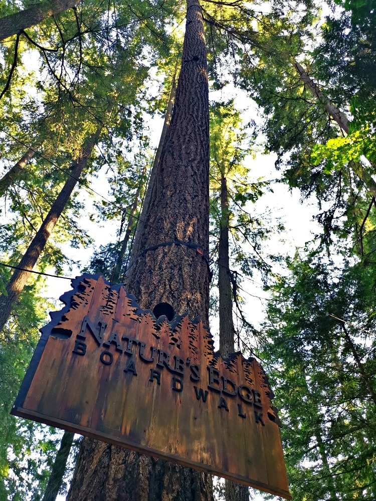 25 img 20230712 171049